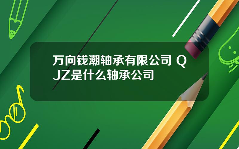 万向钱潮轴承有限公司 QJZ是什么轴承公司